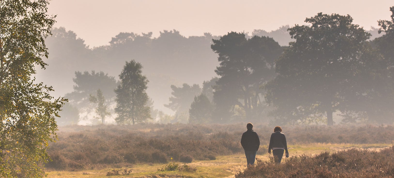 Couple take a walk in nature